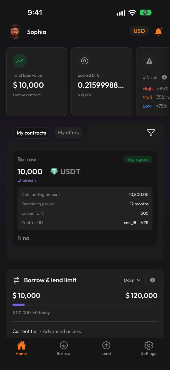 Home with the example loan: 10,000 USDT on Ethereum, in progress, an outstanding amount of 10,800, about 12 months remaining and a current loan-to-value of 50%